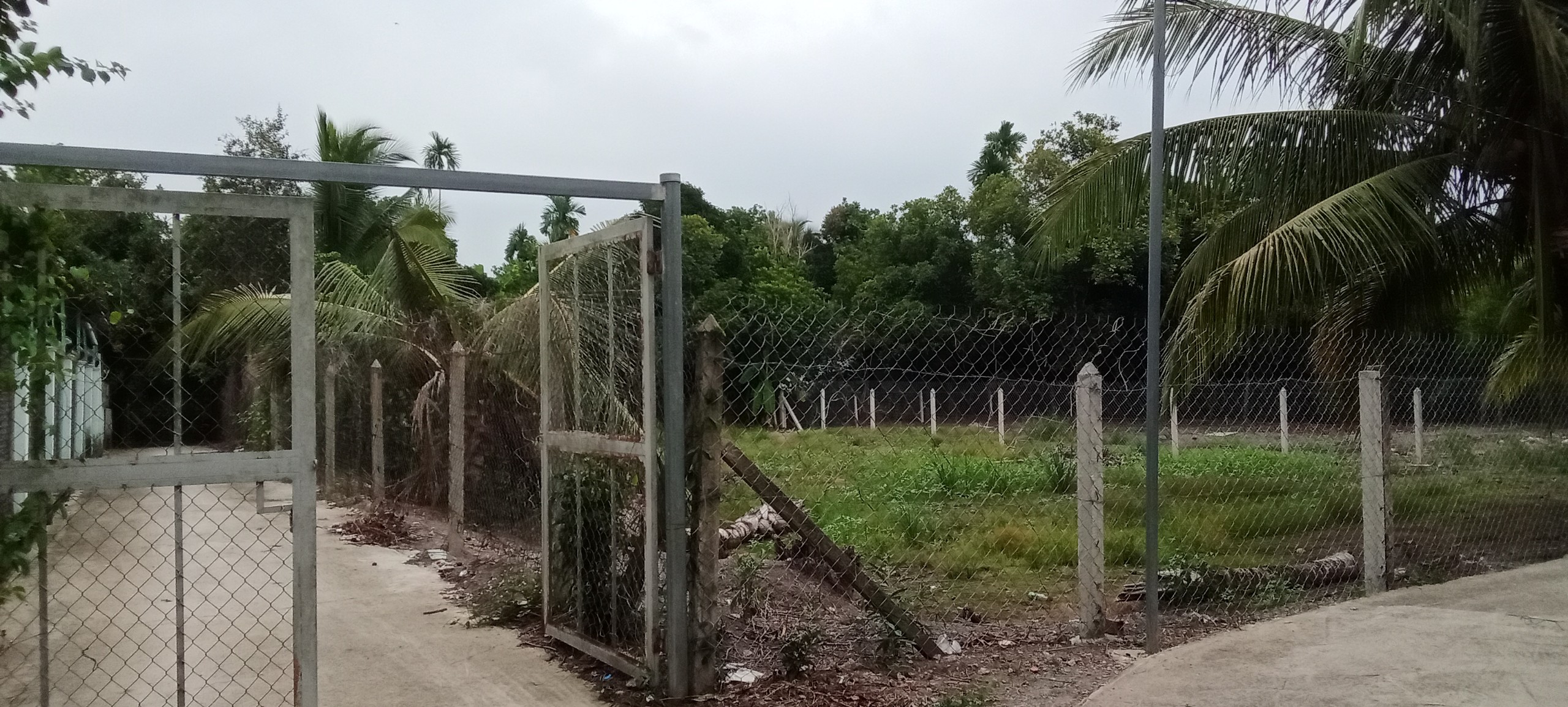 z5693989283249_e01cd7473859a180c9c0662b40ef2a46