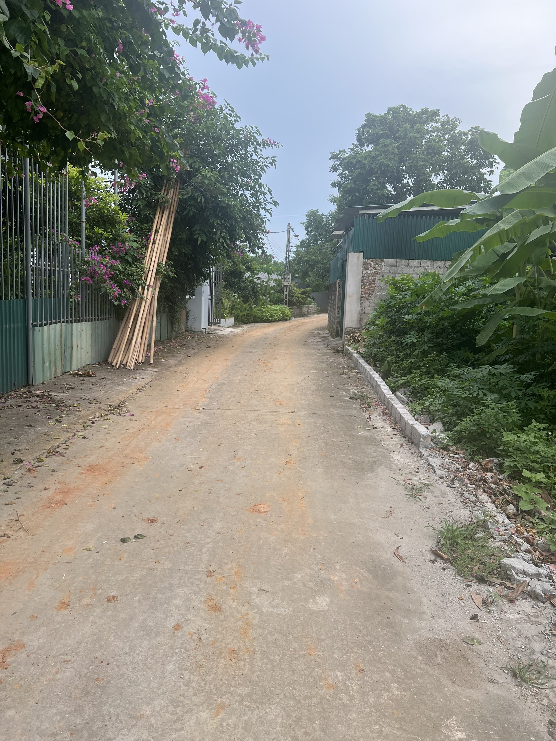 z5697495895781_8b4361fe1b61bf425f453aee710cdcb0