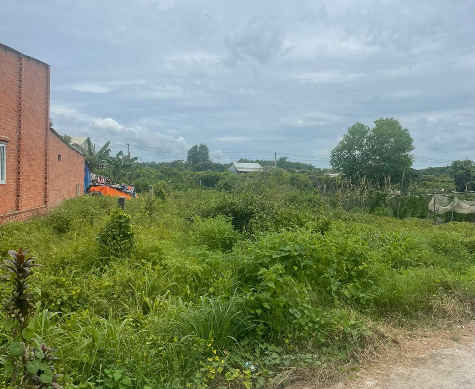 z5700803605559_9b7782b999b83c92756eb5b82de6cd7f