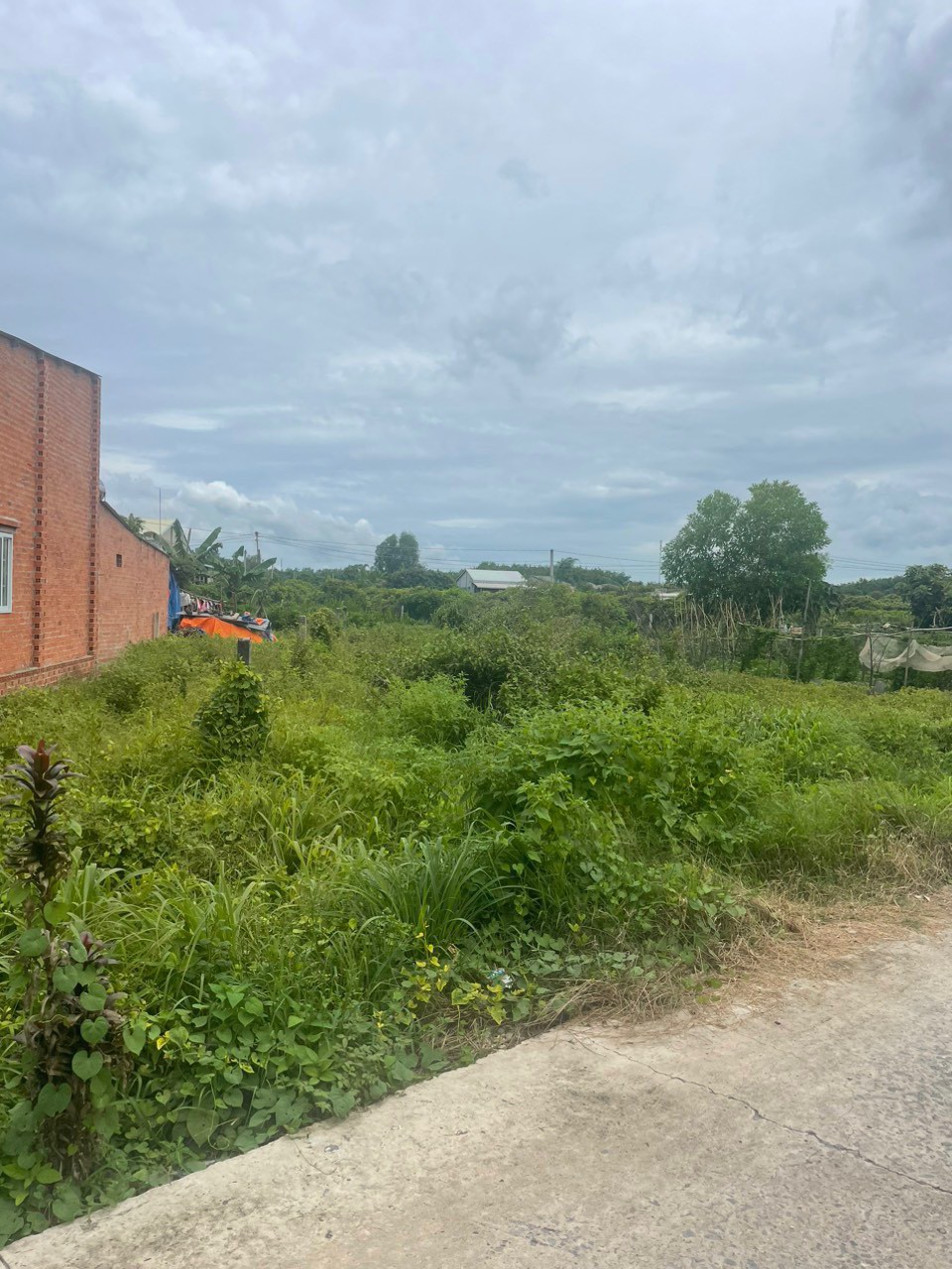 z5700803605559_9b7782b999b83c92756eb5b82de6cd7f