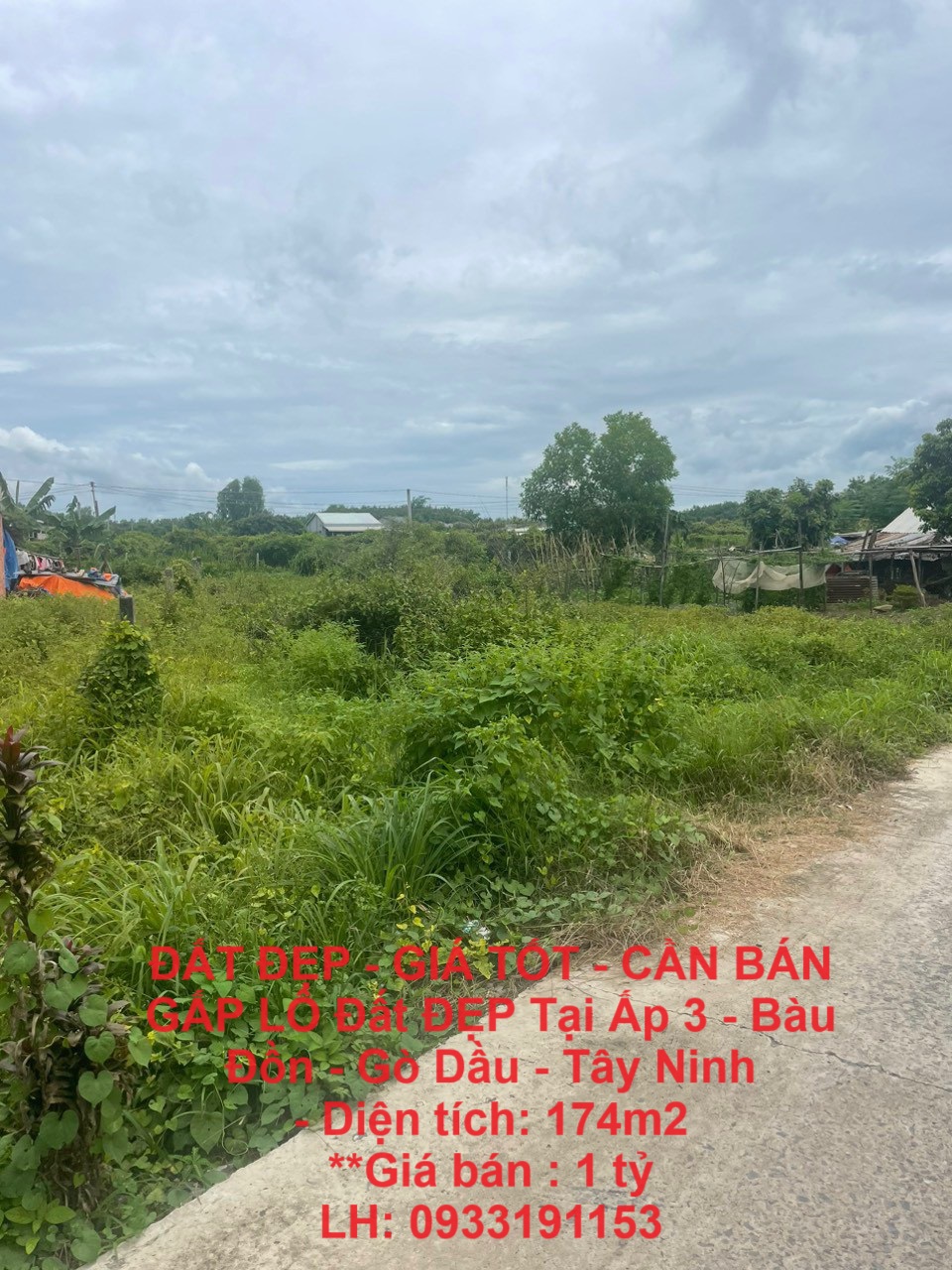 z5700803605603_43a1cf5fcc541e44948d3572557a3aa5 (1)