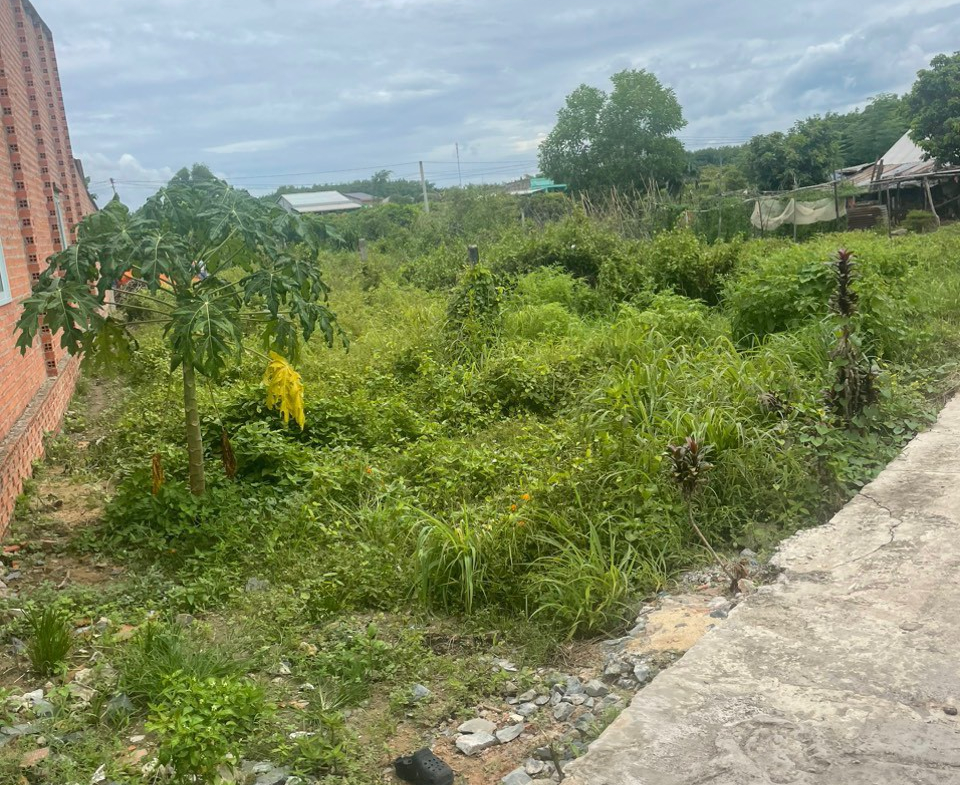 z5700803605604_3b703dda694d1df5d1426bf35079a18c