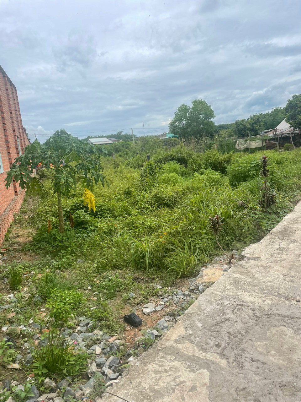 z5700803605604_3b703dda694d1df5d1426bf35079a18c