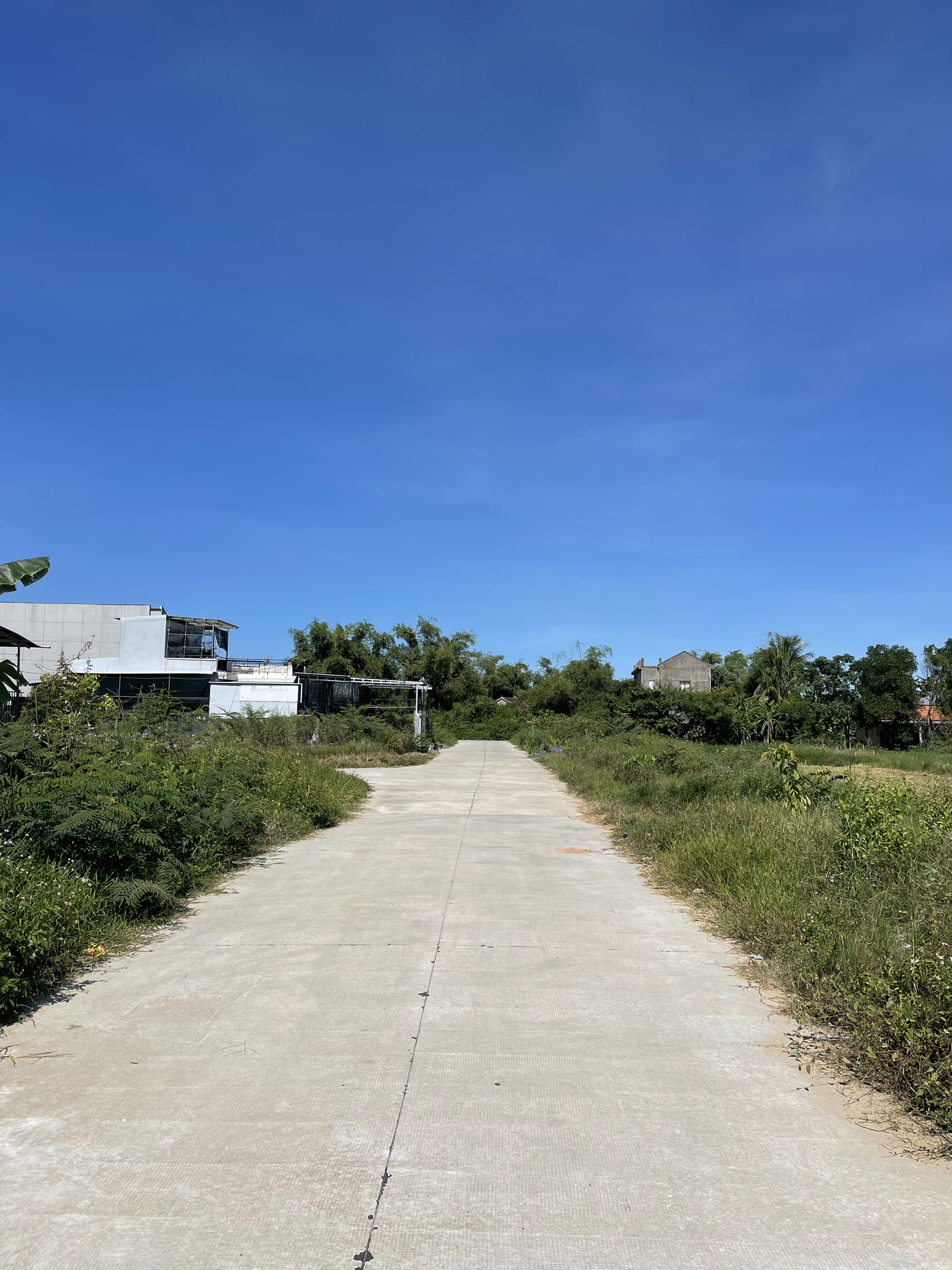 z5701078654088_1eec3580c8c339b2773d291487cca399