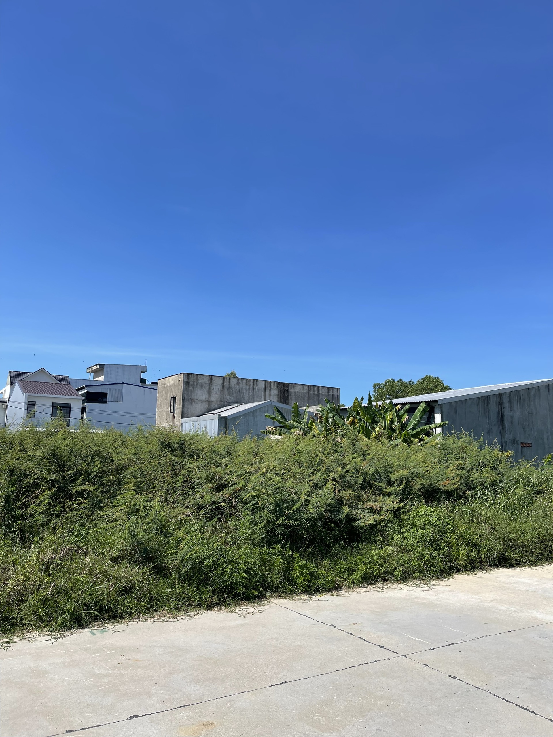 z5701078660686_425a2f79c7849a25dd0e88ab3b554c05