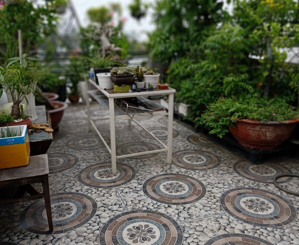 z5703107835332_2e91d5818e3a53b29059c811b90dd395