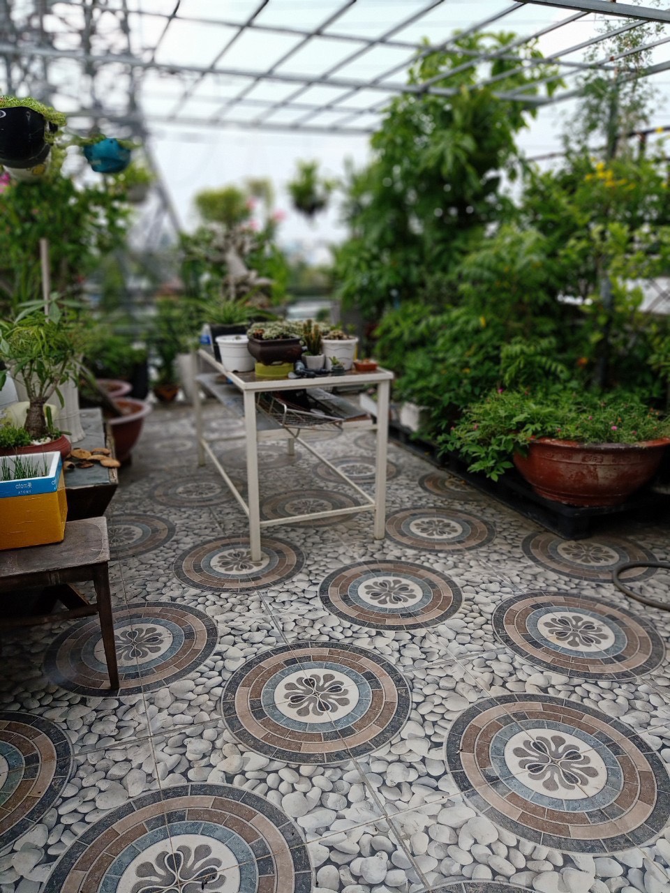 z5703107835332_2e91d5818e3a53b29059c811b90dd395