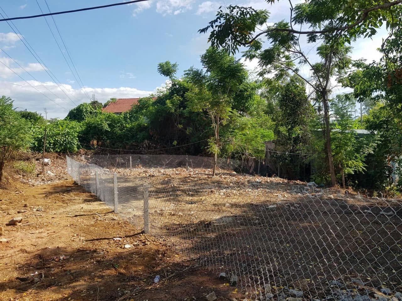 z5703218559969_46cc3680cddc9379a1e0806d810c11e7