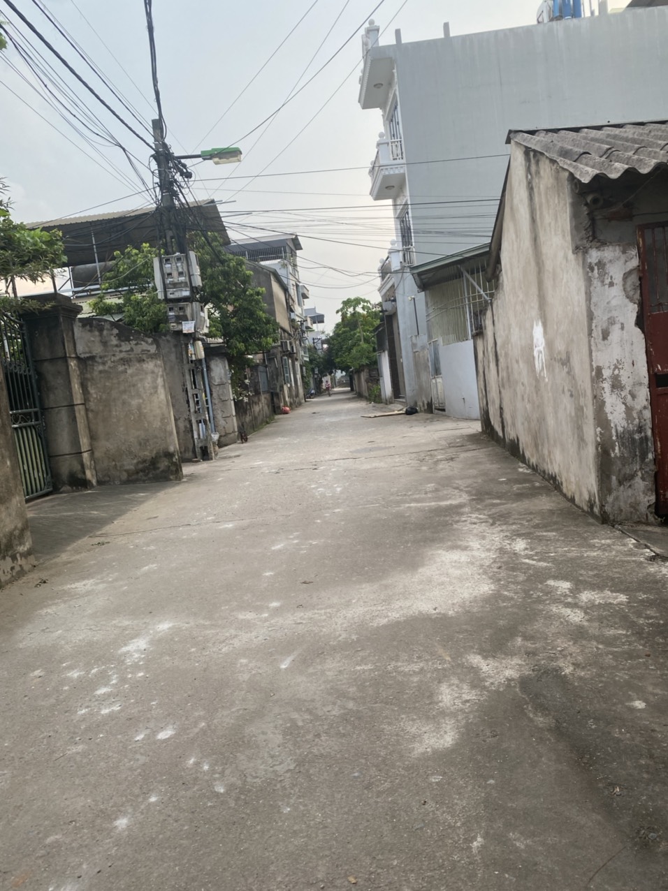 z5705447782986_2b15af111aabb98fdd612b2575468b35