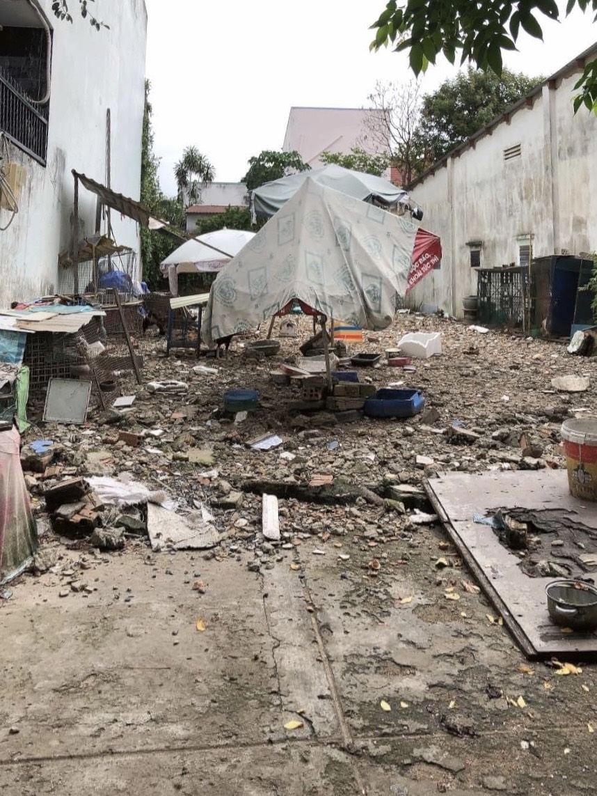 z5705886766317_df2922d7807ae52615e345e2a64f19cd