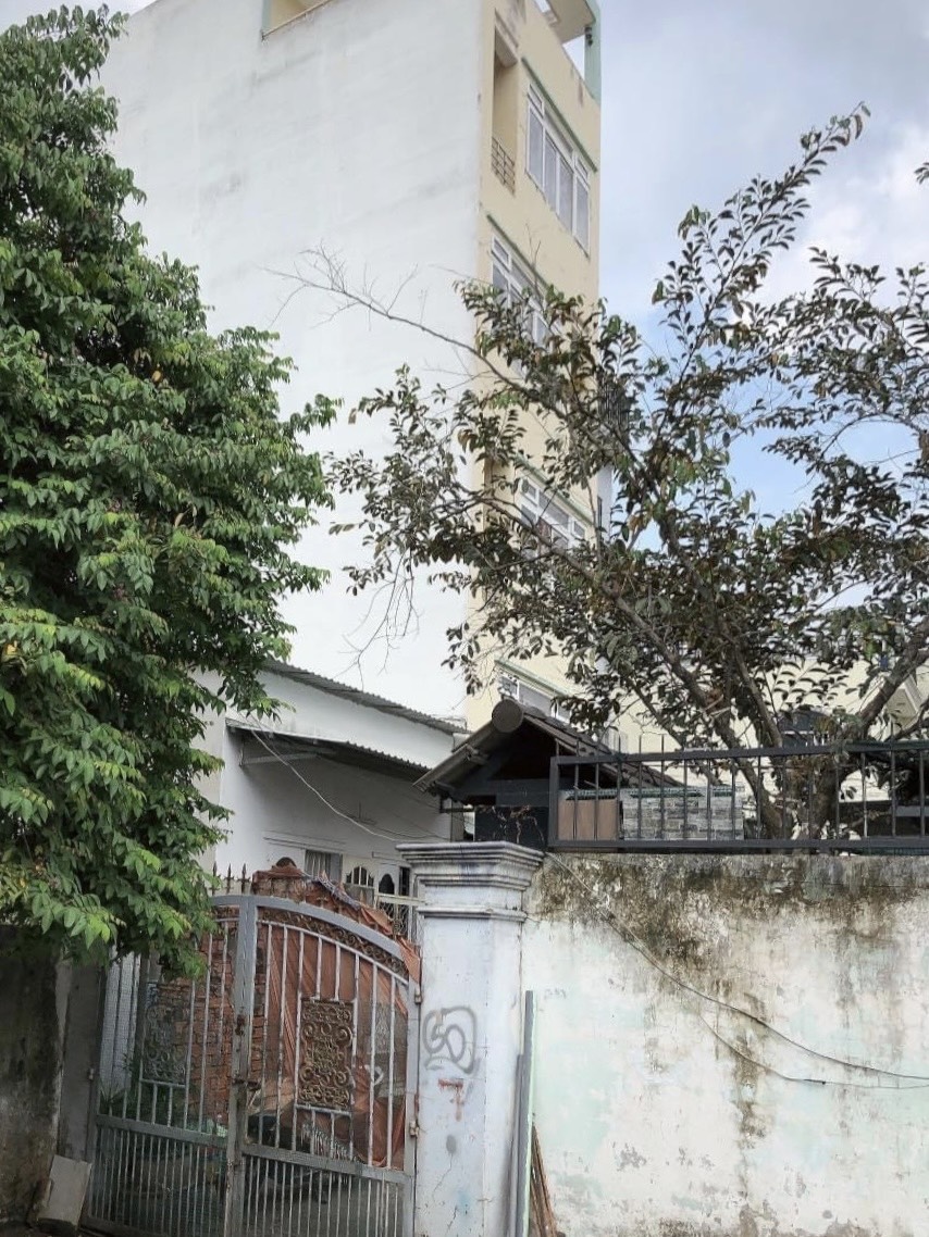 z5705886775273_e3d9f23c6eb64cc88141c31f3a0c0fe8