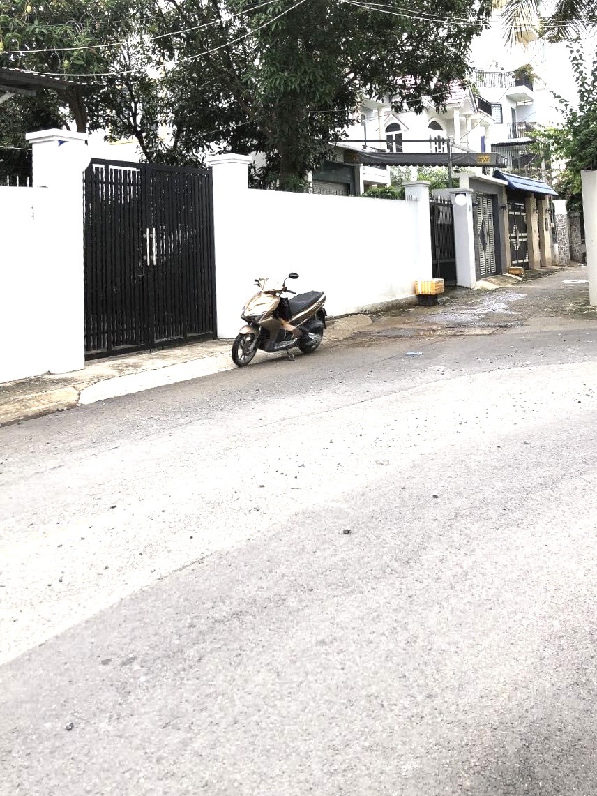 z5705886779462_c6a62bbc031ed20cbb77d3af37985a01