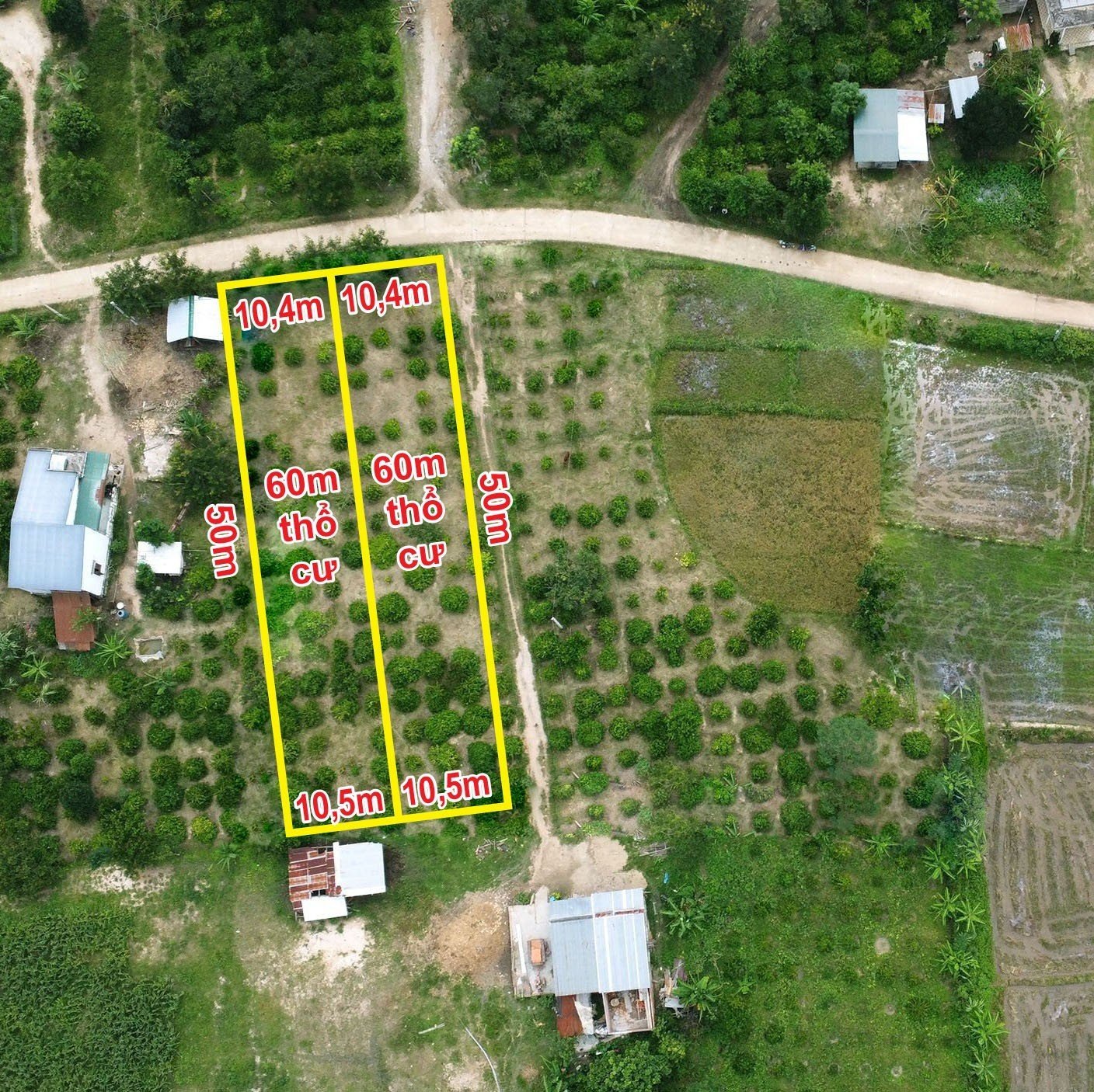 z5706663473296_016_84c25e854c64bd6a0ddeaa6c9f01d243