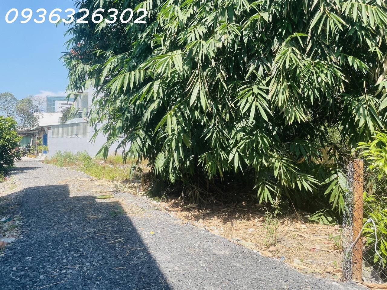 z5708152166557_1cd70e6e92359fcb435bf2ffee09c69f