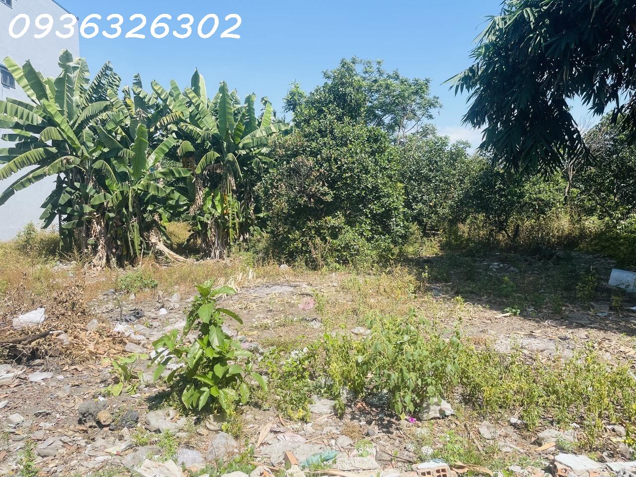 z5708152173220_097e4d4a1a7860f4230081b60c5868f9