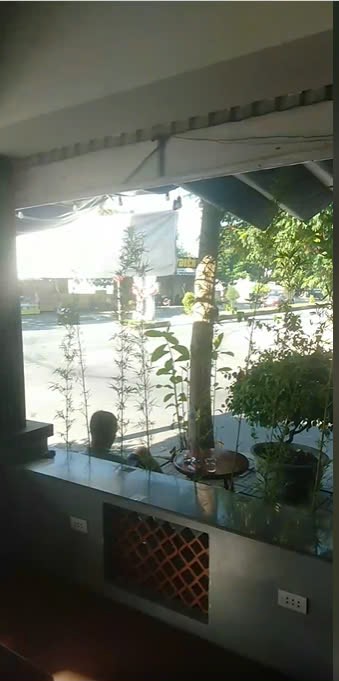 z5709828706568_48da0e2f9ed0f09d2154a5582cd4ab6a