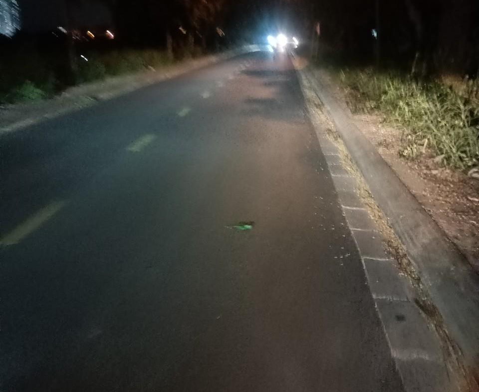 z5713024291925_55e5f49bc90af24716ff023680df9744