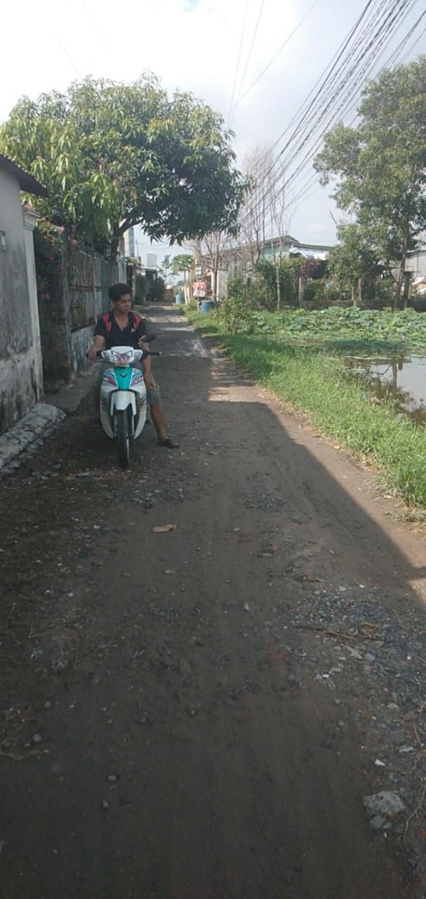 z5716374111965_ab73797f114497a37cbfc716f414aa16