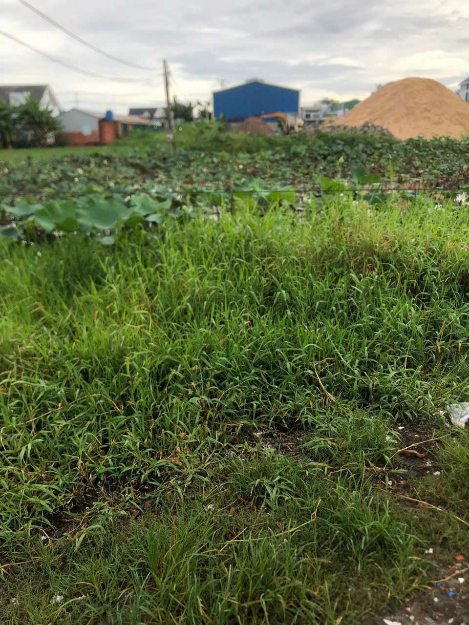 z5716374116369_407bd203103e3cee8be89776ad93ef2f