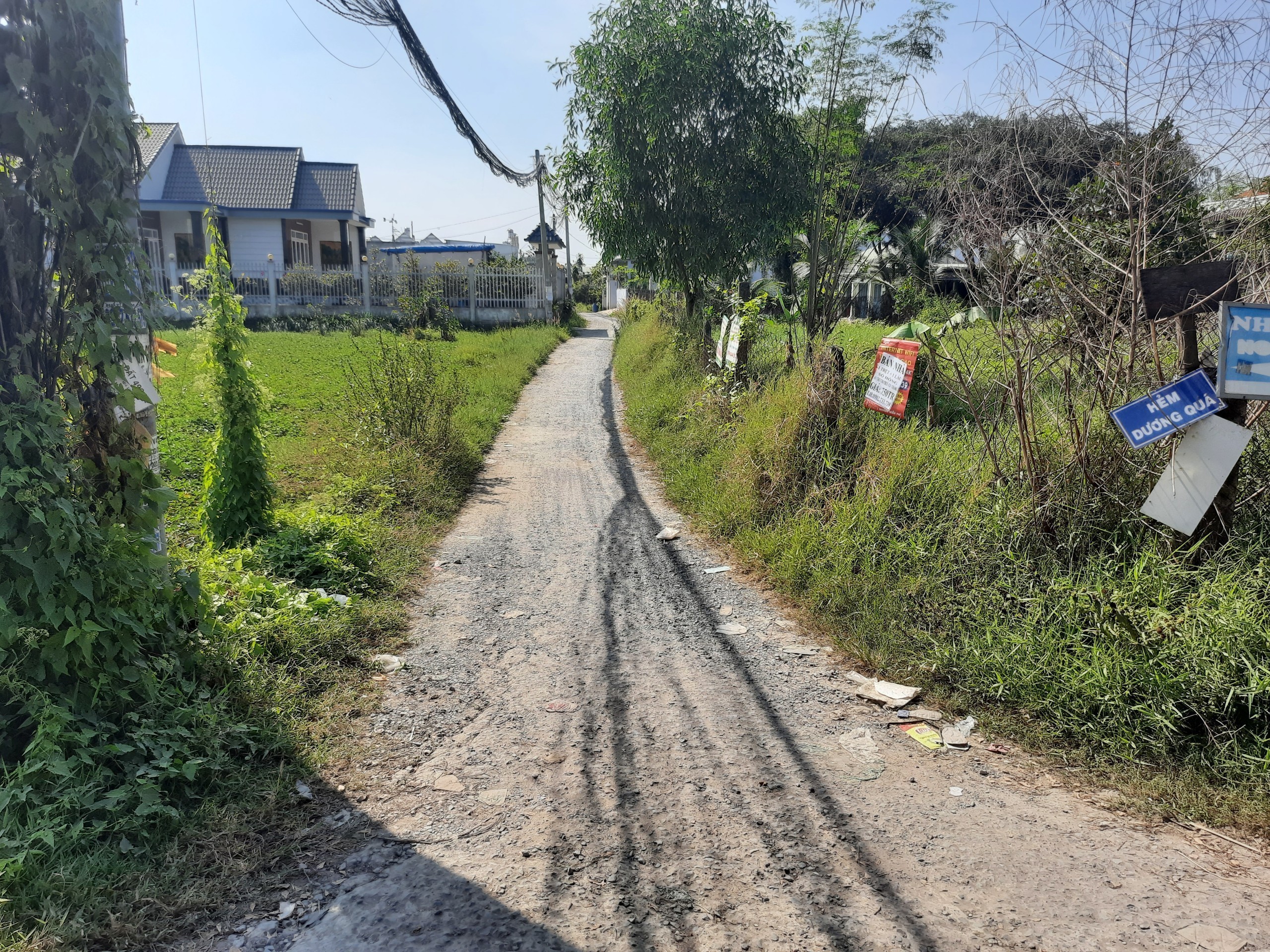 z5716605546204_1efc1e622265e5750653934d8696619d