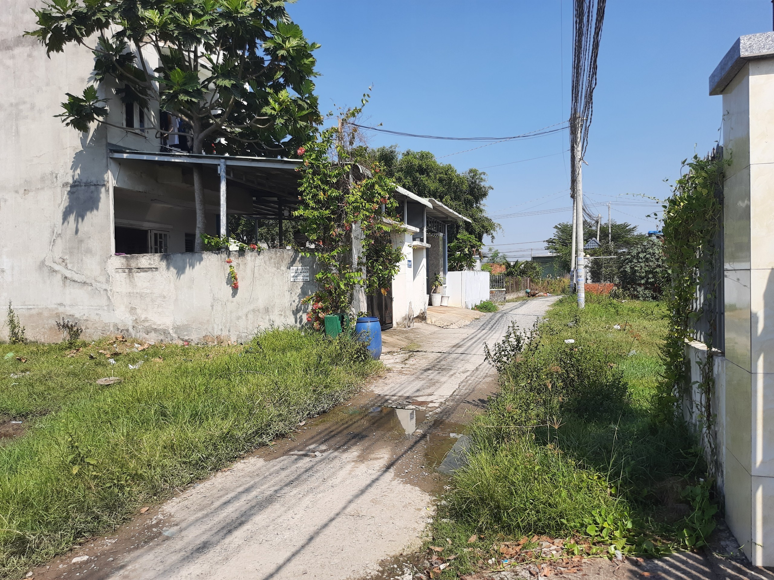 z5716605546218_9cb49328c27edb0db65e71a3152fa6fb