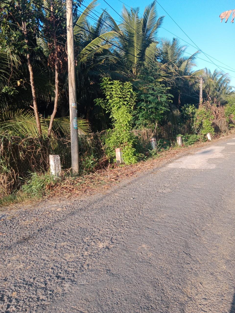 z5719473795576_0173a6dd8ea6f7f6d2268b836dc596dd