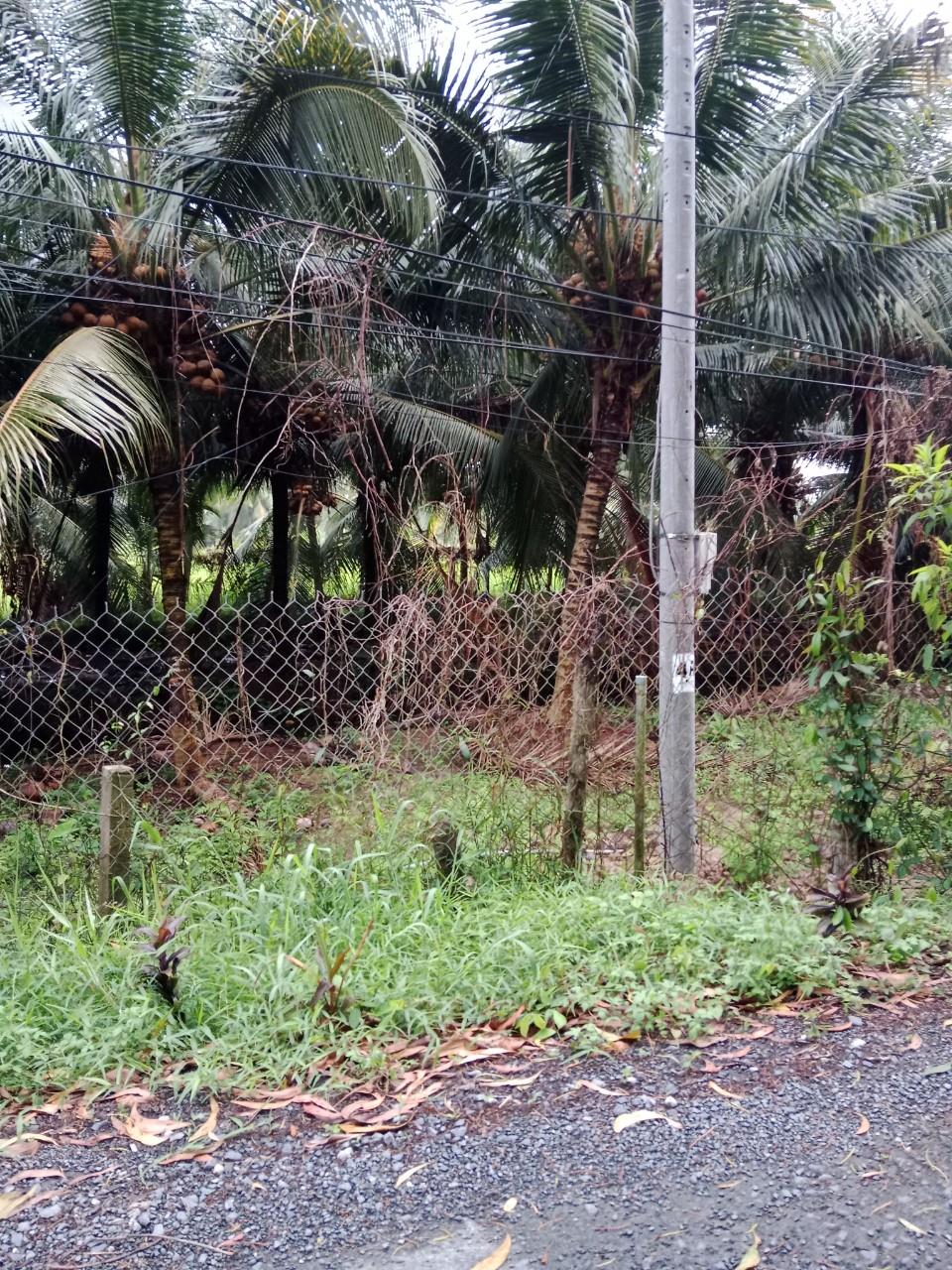 z5719473800146_89f93737b93635ce0730c57cfdb08841