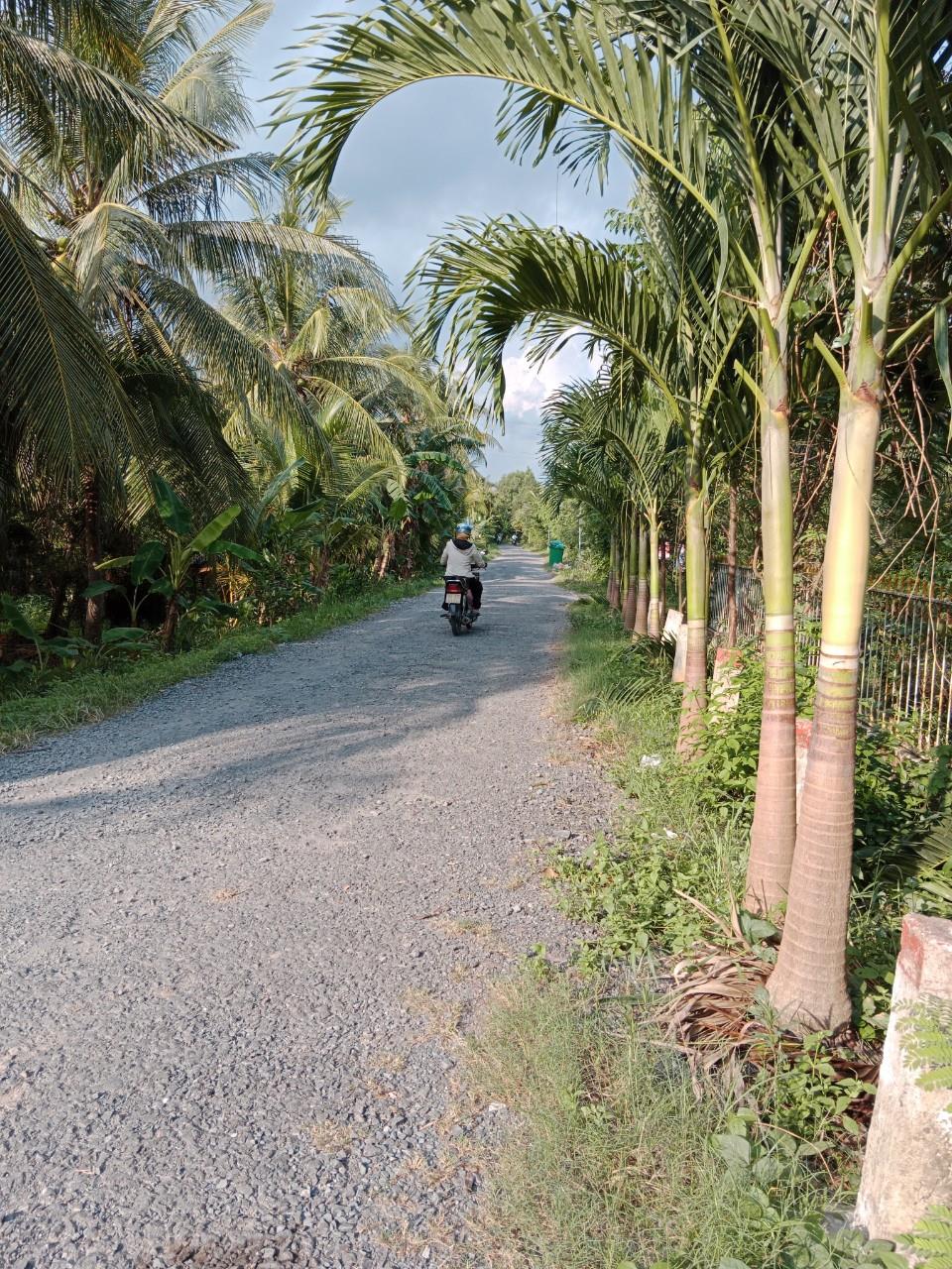 z5719473810788_02afb32562be3f521cf4c489addc1788