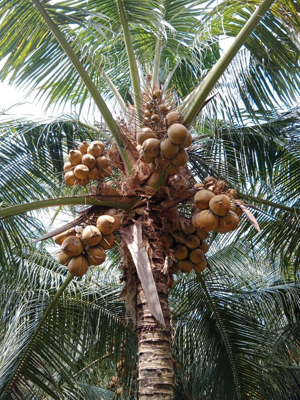 z5719473892123_d3751e366d1bd576bd4745ec222df9a2