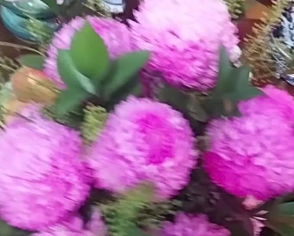 z5721040356918_7693cdc66d2a7c92f6f7f269a28b8705