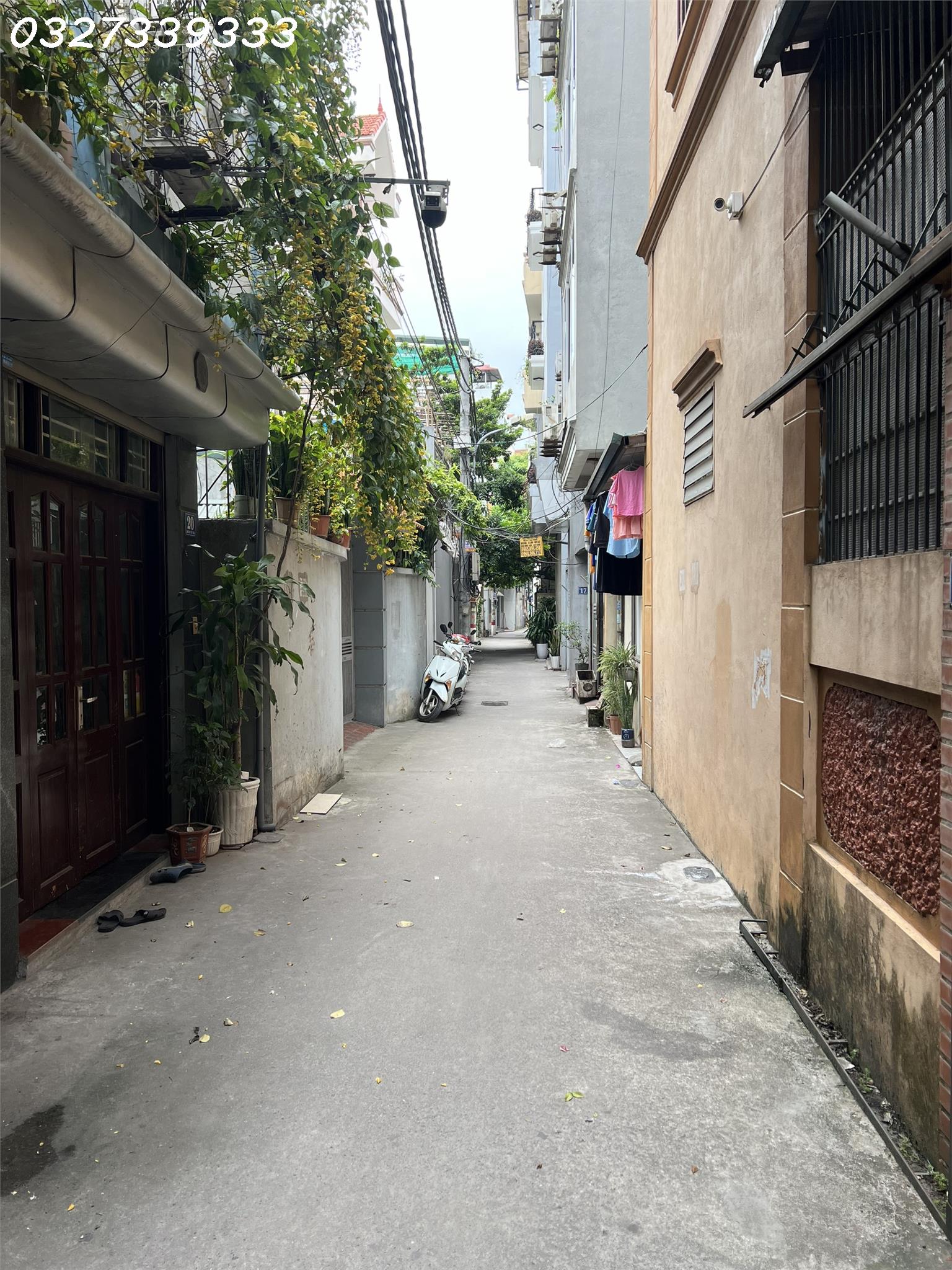 z5723897453929_6b617b9a92265e81fd03bc11428e6814