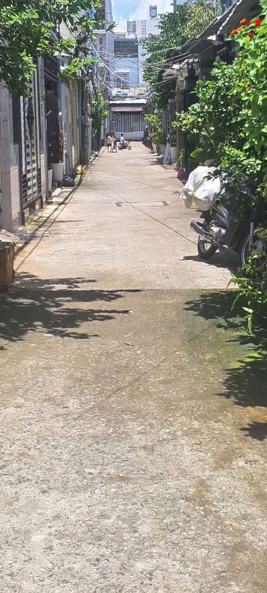 z5725481147270_b3f681bf7a2454f55b49b6db5e4211f2