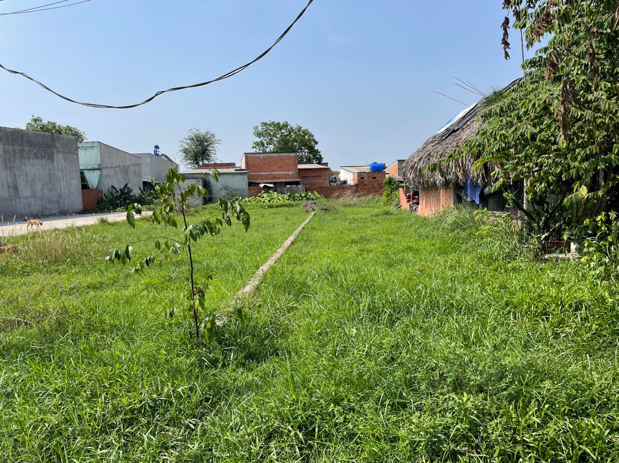 z5725705990276_4b4e6c13136174c34b073953cfe43c4b