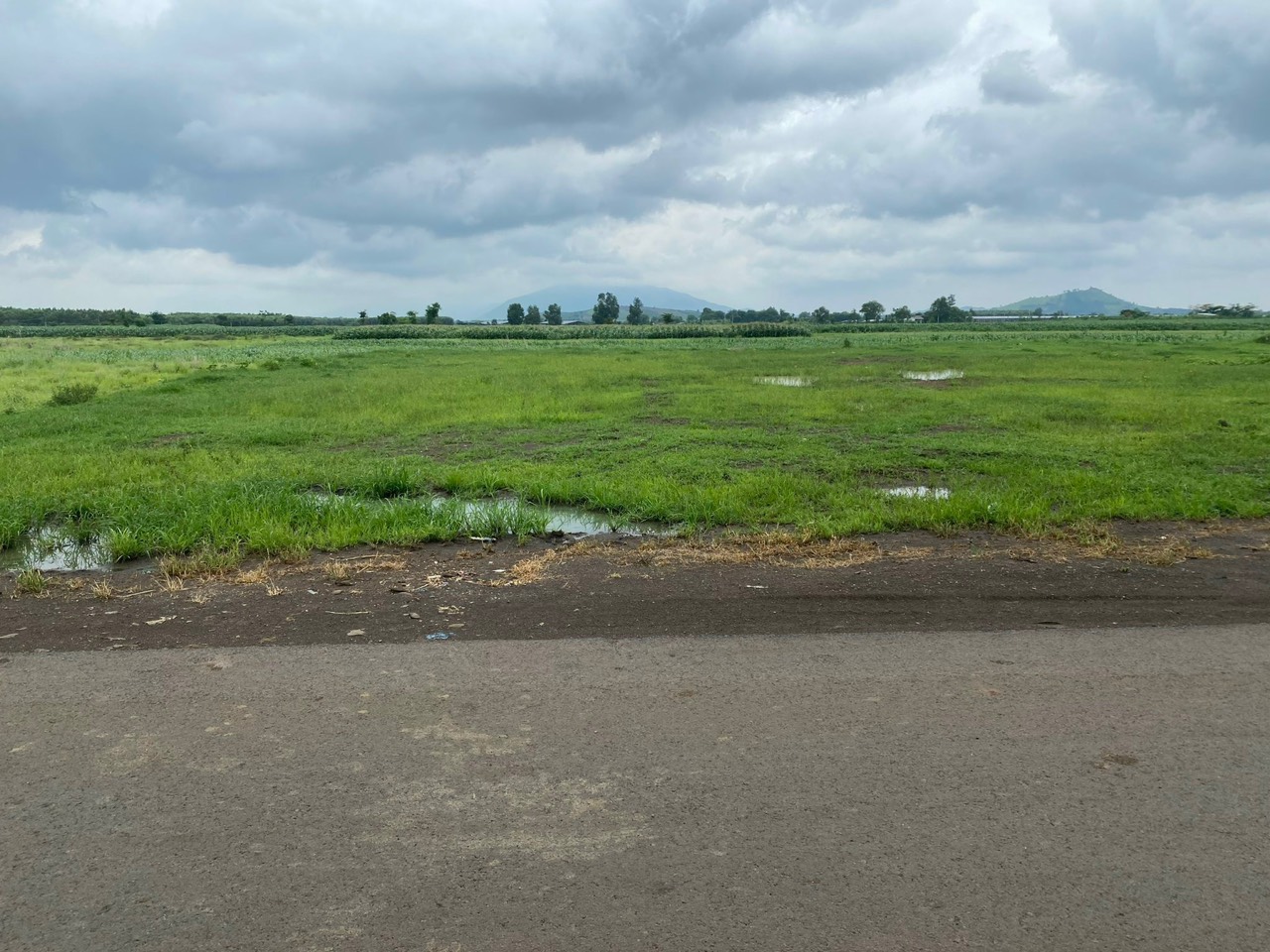 z5726634520757_3bee98e6ae8bd43e16e4e3155cf11c9b