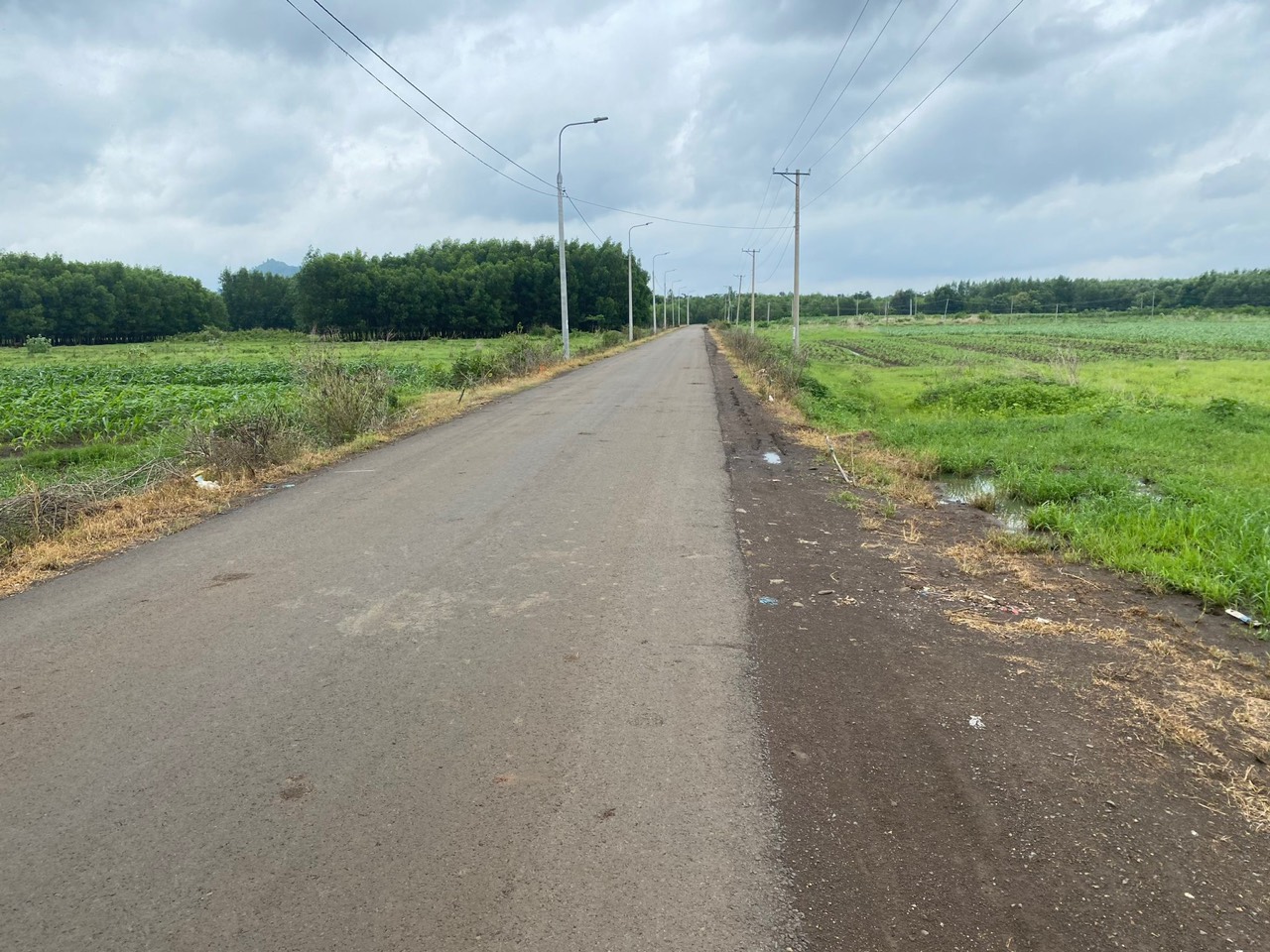 z5726634533990_75a4ed28c2669f572d31a3147ccc6b8a