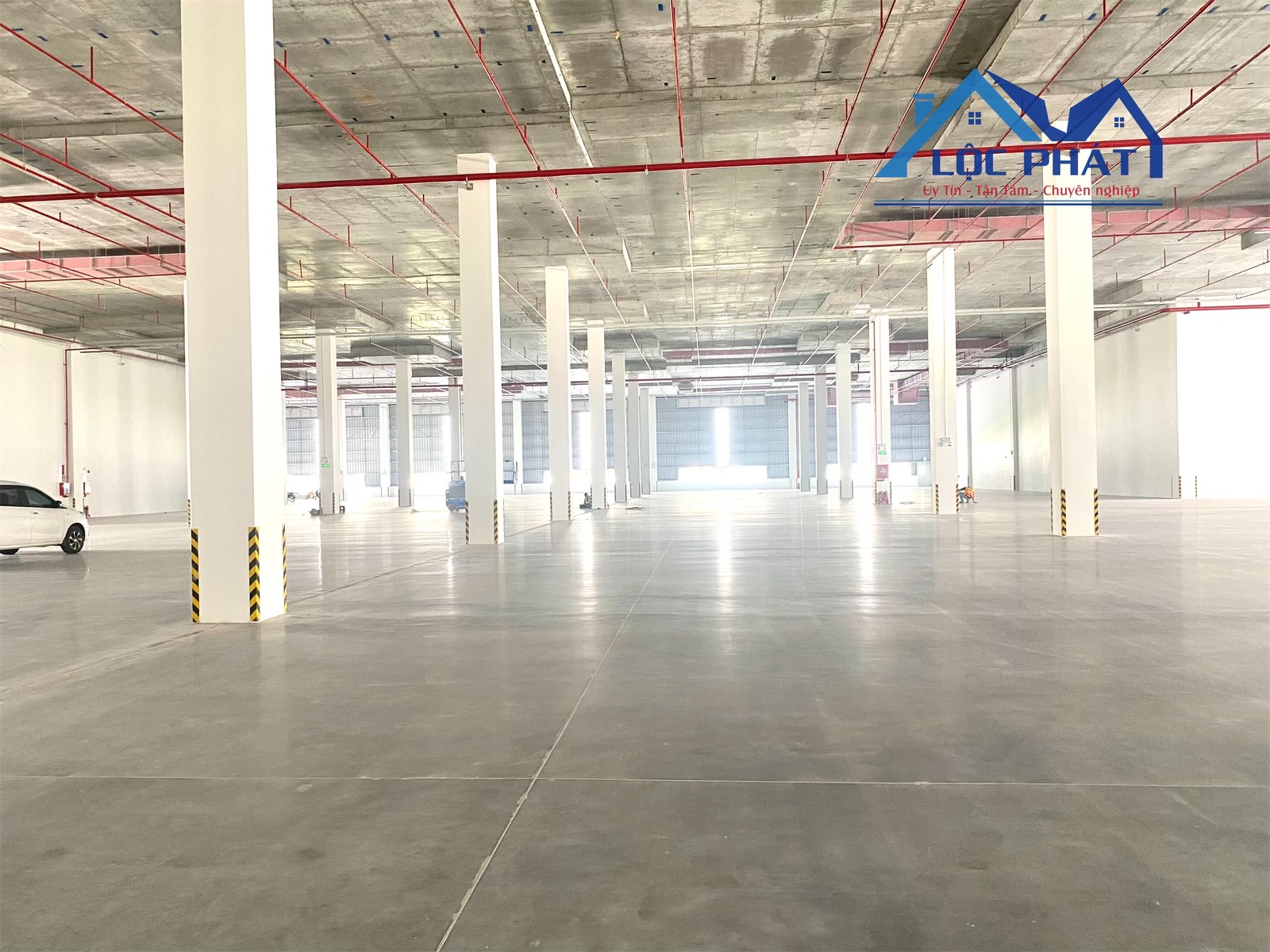 z5728834124531_b45cfda642015738e911d6cb7b1bb313