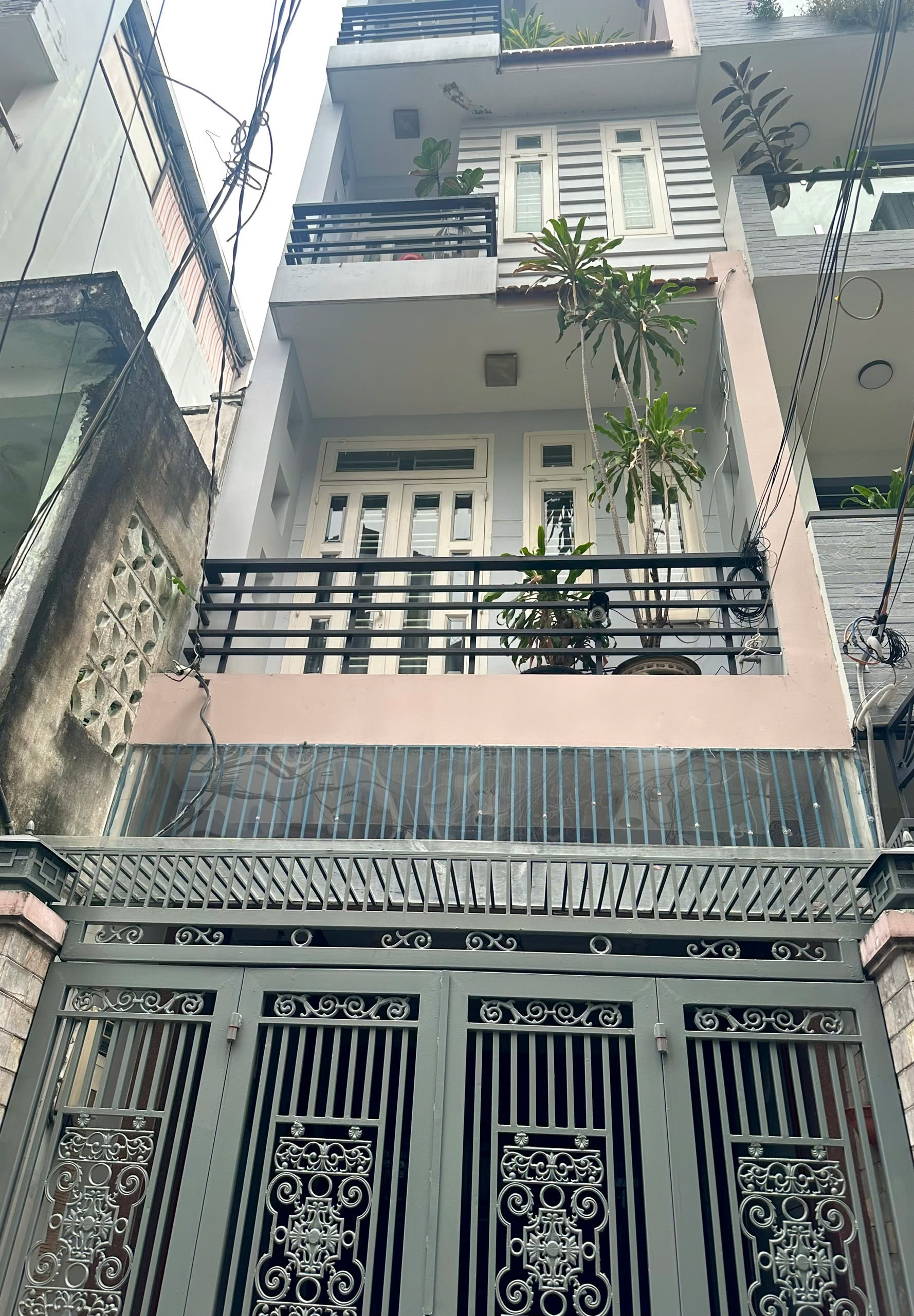 z5729080854124_d92023d2187372fcffde1dc0a320f504