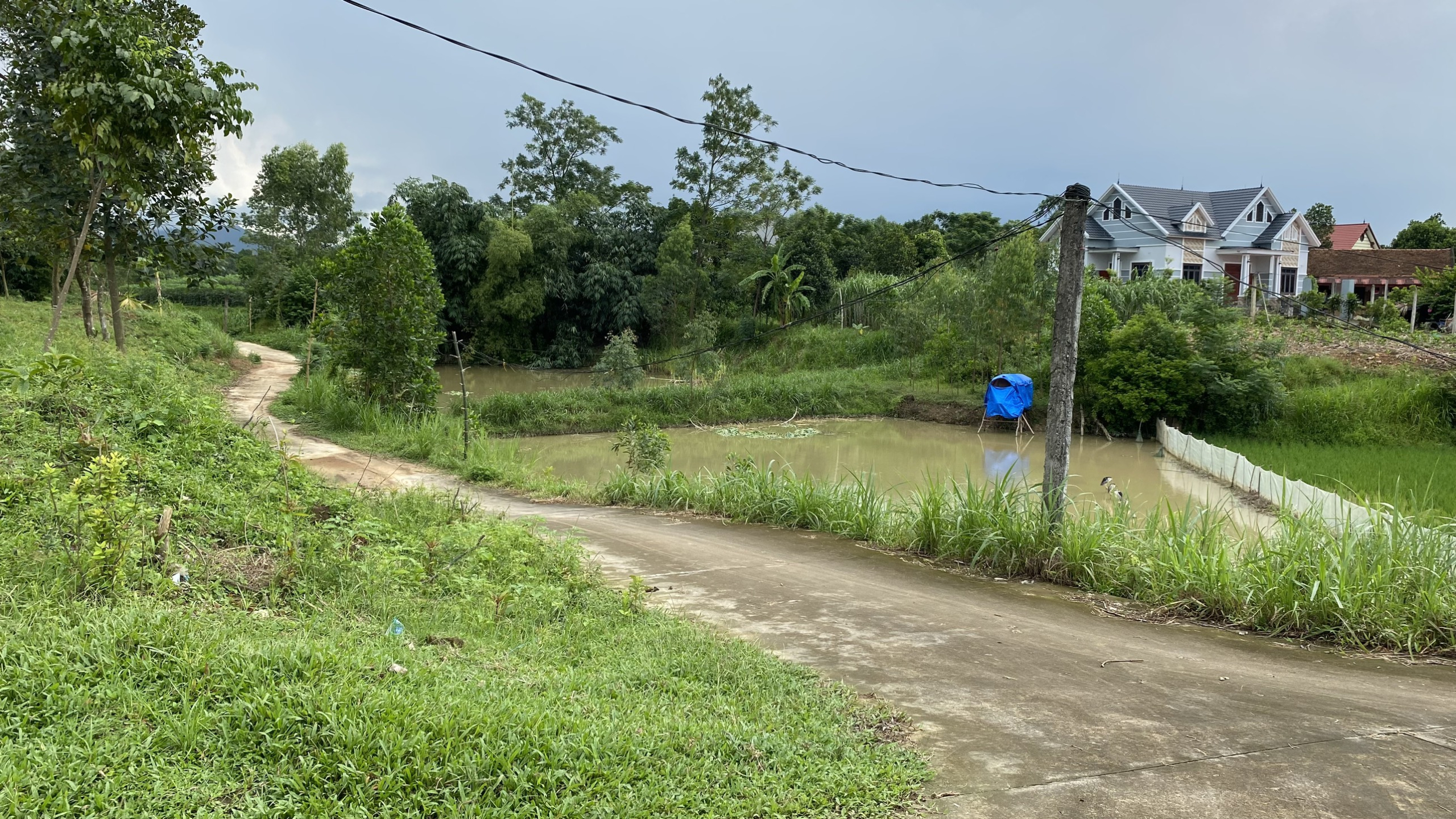 z5730597022324_19608c3b872533dfbe1411735e606117