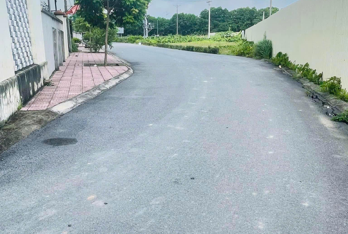 z5732552487331_08bfbec9e3c36afce5d27afaa53422b4