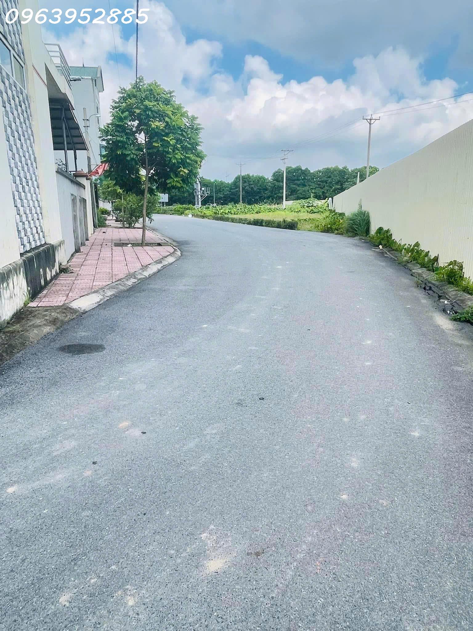 z5732552487331_08bfbec9e3c36afce5d27afaa53422b4