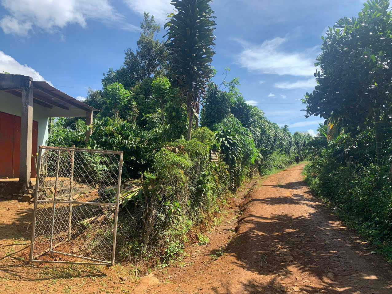 z5732681189952_fa3f359ce7860e0d30cd62acf0c01b50