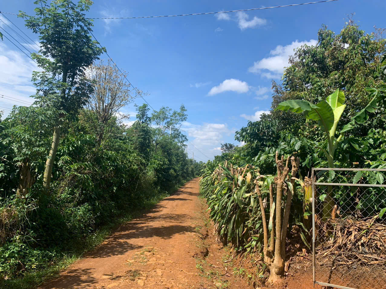 z5732681196464_b264a972e7200dafdb93c57569fe0807