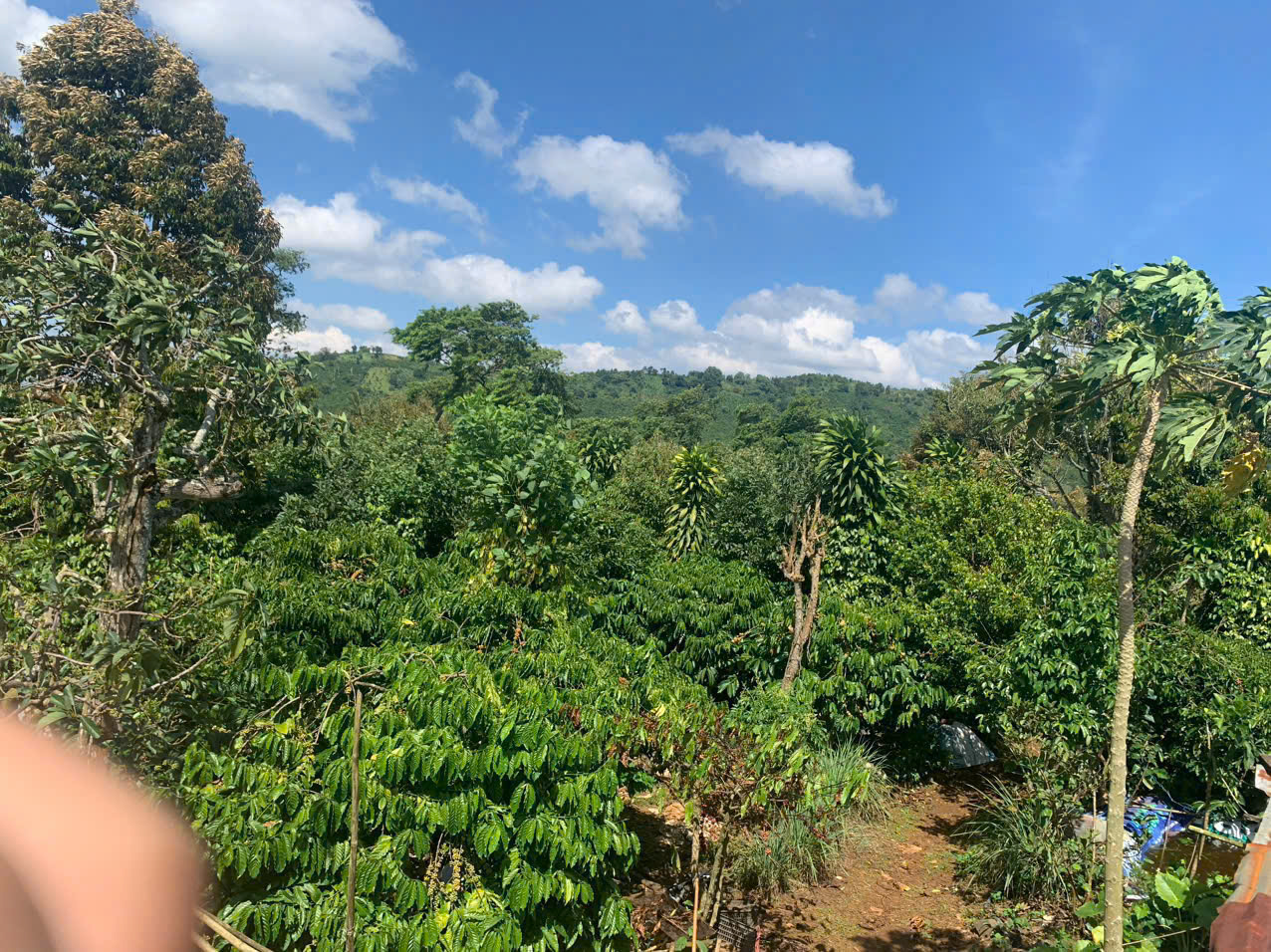 z5732681211457_f055aee825b4a2c87aef8f734f83d63d