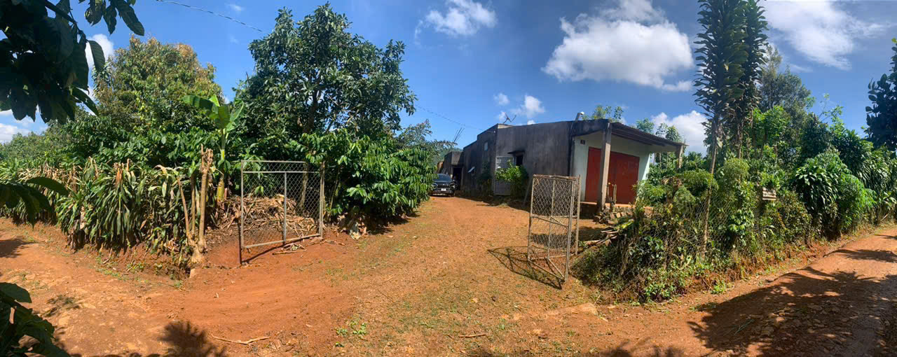 z5732681216249_6cd4e1f2ab4a2a7f473bdffe809c9a00