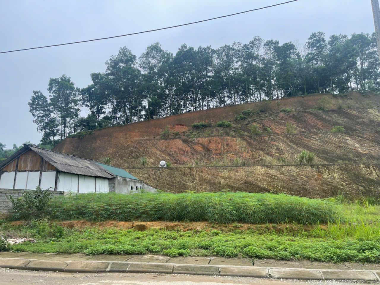 z5732822915243_efddb83ac6bb0803304846d9f43bc636