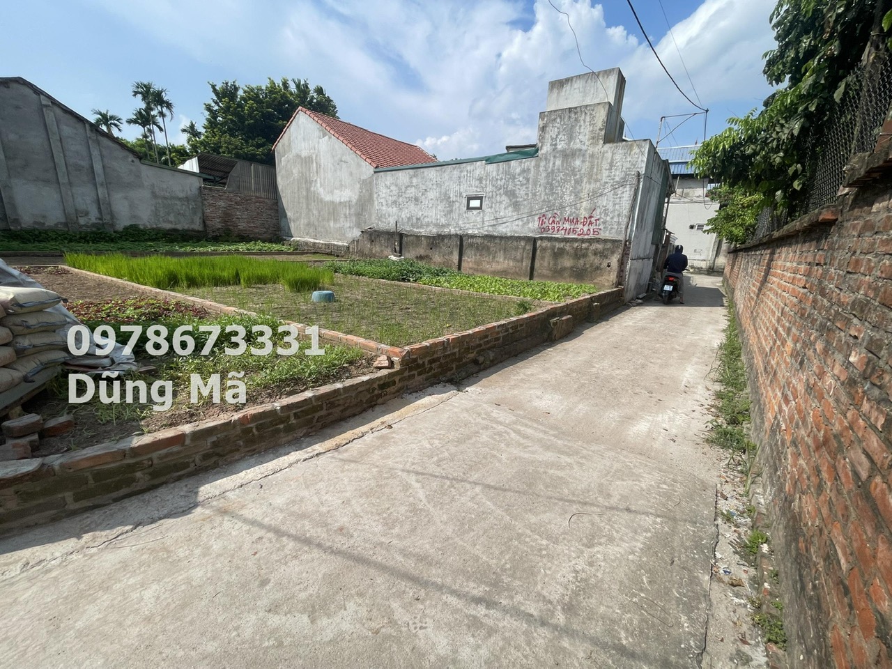 z5733223694974_e96e77ec72916e51953e444008b2eff8