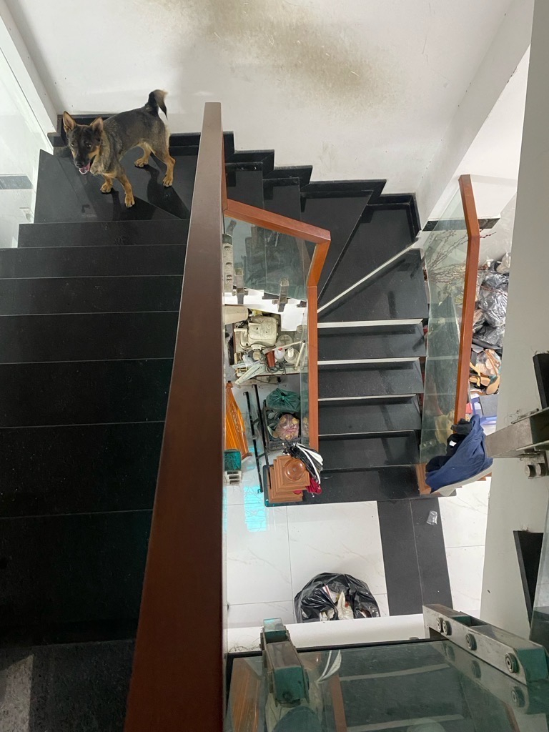 z5734818953335_41866d80bb9353a3cebdfa0b0db44297