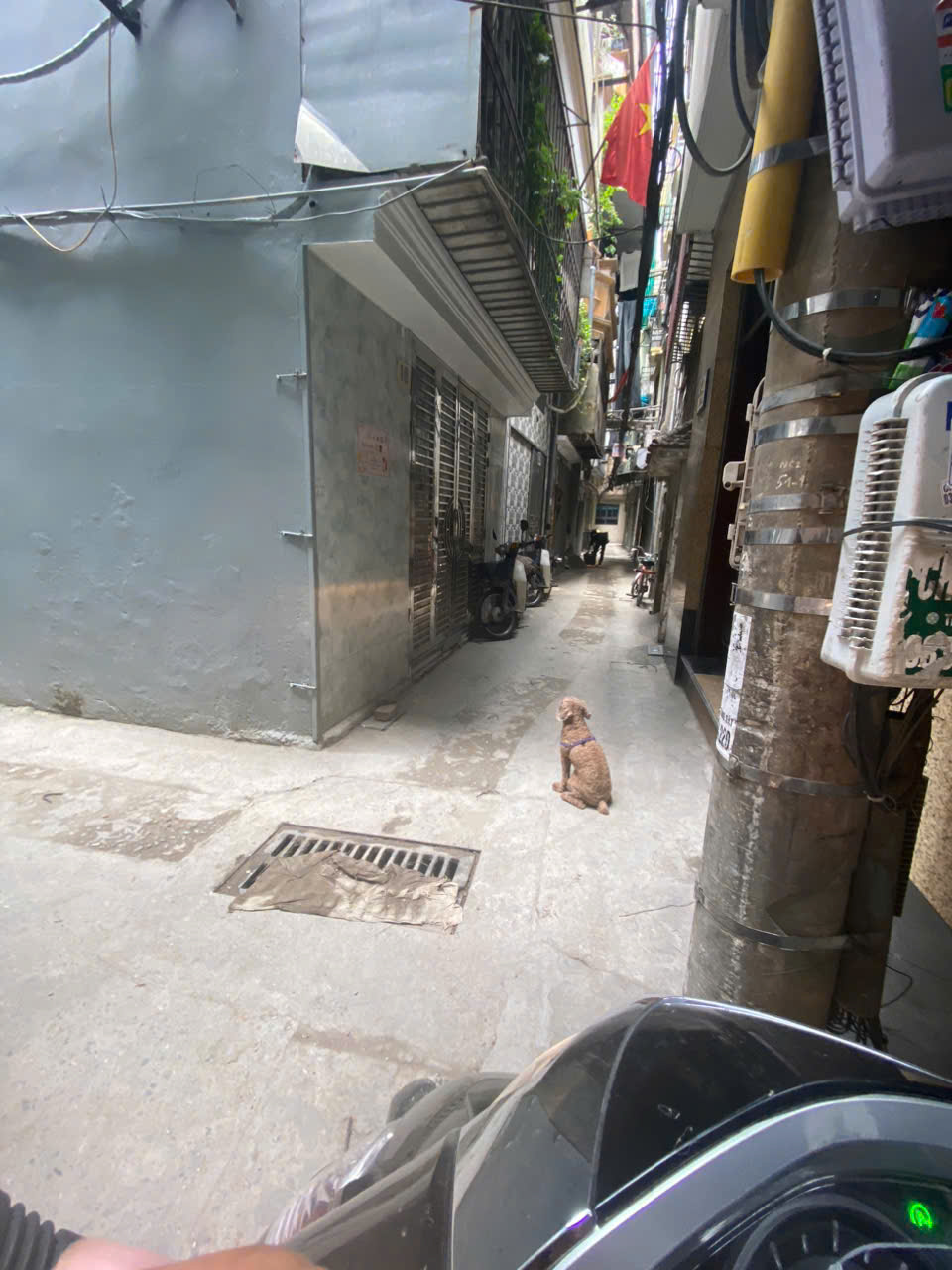 z5736512914923_bee5e3968dd29c99fb7e151e1d2f2f2f