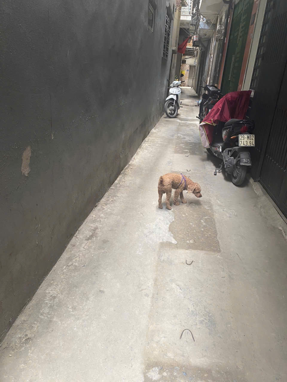 z5736512926844_ef41c4517e809ce54bd800994cb4821c