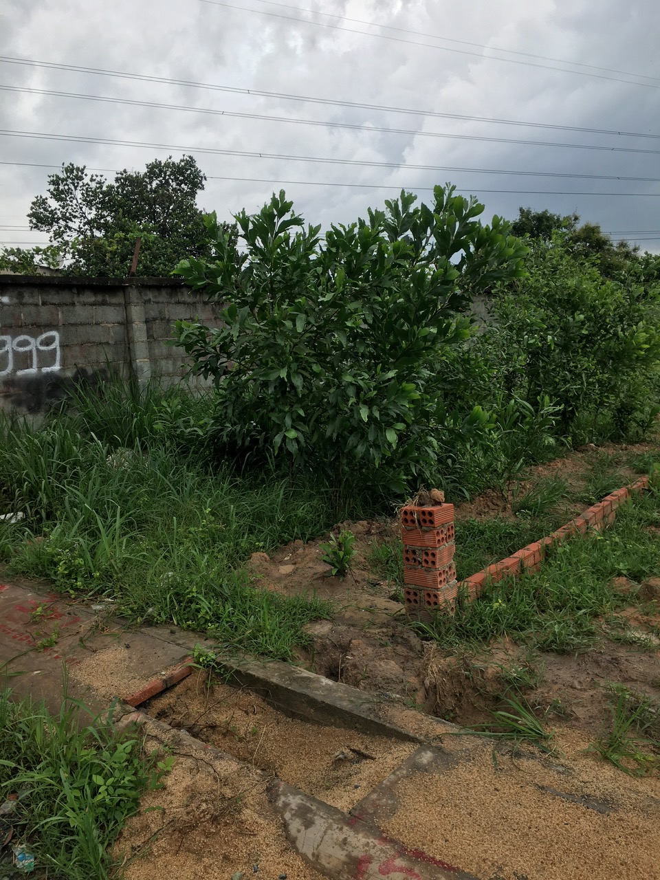 z5738191513023_67e2ed827838d920b5efcd5578c966f5